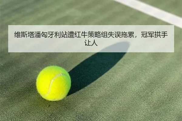 维斯塔潘匈牙利站遭红牛策略组失误拖累，冠军拱手让人