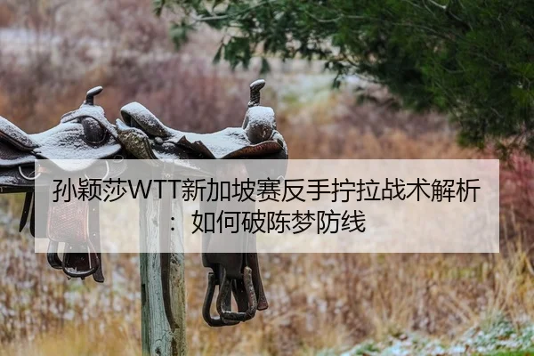 孙颖莎WTT新加坡赛反手拧拉战术解析：如何破陈梦防线