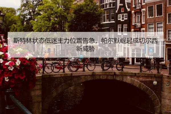 si-te-lin-zhuang-tai-di-mi-zhu-li-wei-zhi-gao-ji-pa-er-mo-jue-qi-cheng-qie-er-xi-xin-wei-xie-3-722.jpg