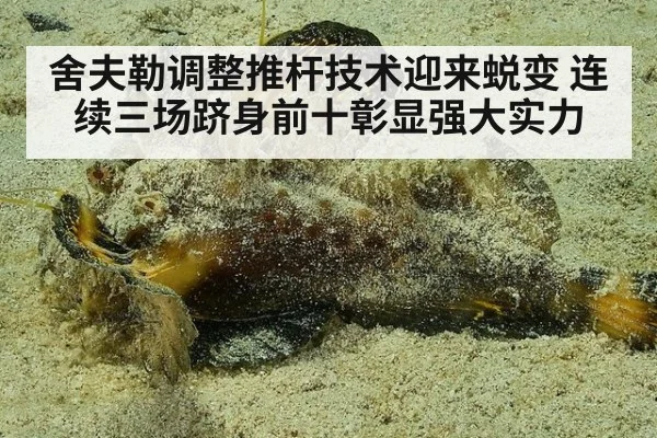 舍夫勒调整推杆技术迎来蜕变 连续三场跻身前十彰显强大实力