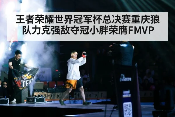王者荣耀世界冠军杯总决赛重庆狼队力克强敌夺冠小胖荣膺FMVP